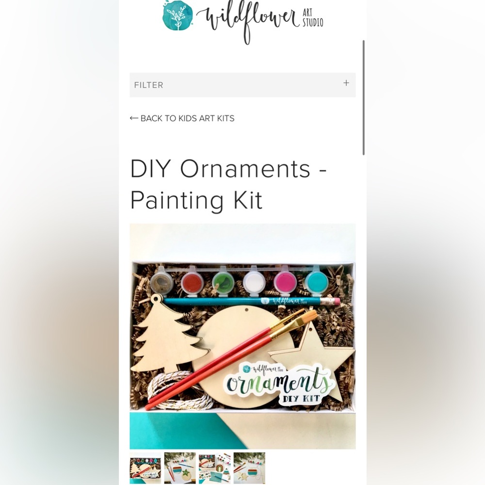Wildflower art studio ornaments diy kit